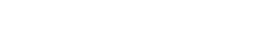save a lot logo white